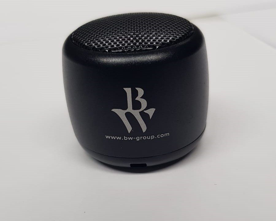BW Group World Smallest Speaker 1