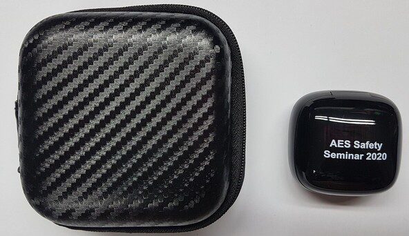 Changi Airport Dilot Wireless Earbuds 3 6