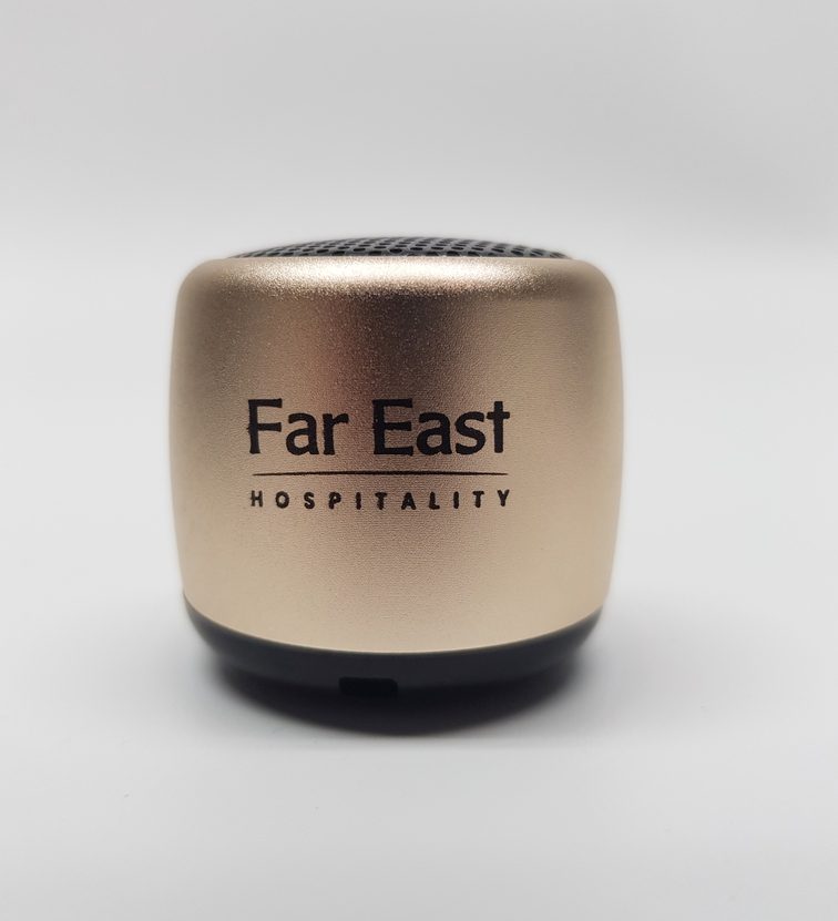 DO0822 013 FAR EAST World Smallest Speaker Gold