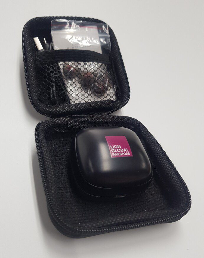 DO1222 011 LION GLOBAL INVESTORS Dilot Wireless Earbud 2