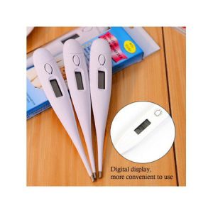 Digital Personal Thermometer 1