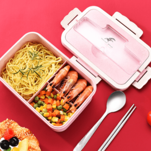 Hand Carry Eco Lunch Box 1