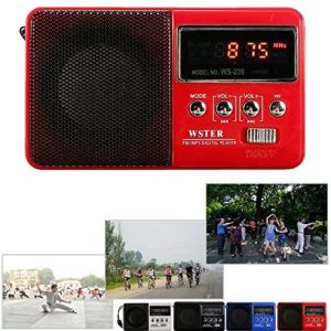 Rechargeable Radio Set 2 1