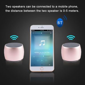 Twin Sharing Speakers 2