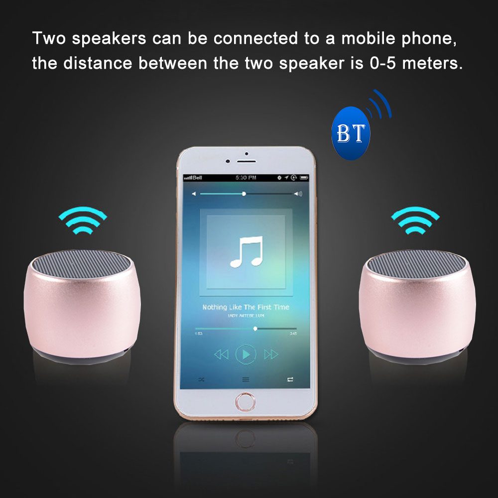 Twin Sharing Speakers 2