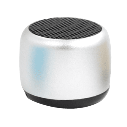 World Smallest Speaker 1