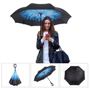 reversible umbrella 1