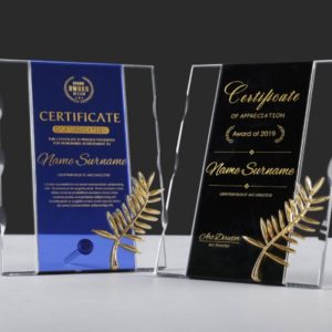 Standee Square Crystal Award 1