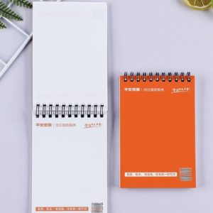 Mini Ring Binder Peel off Sheets 2