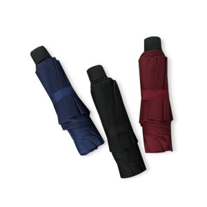 Mini Handheld Umbrella 2