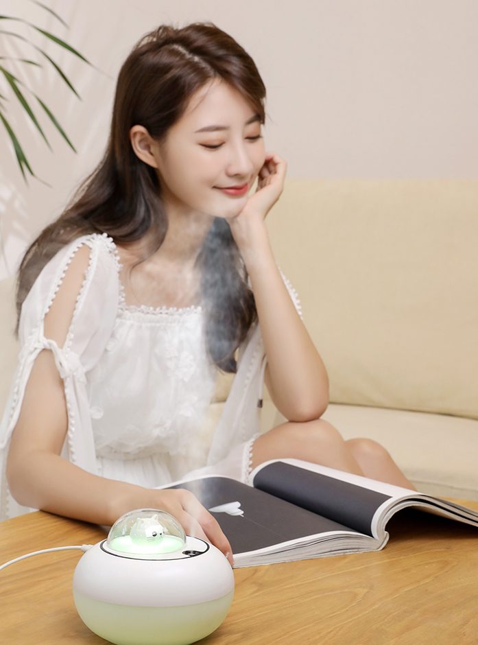 Cute Cat Light Humidifier 15
