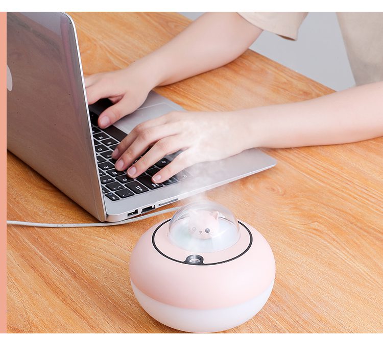 Cute Cat Light Humidifier 17