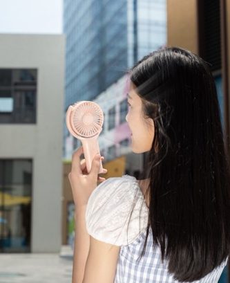 Double Leaf Adjustable Fan 10