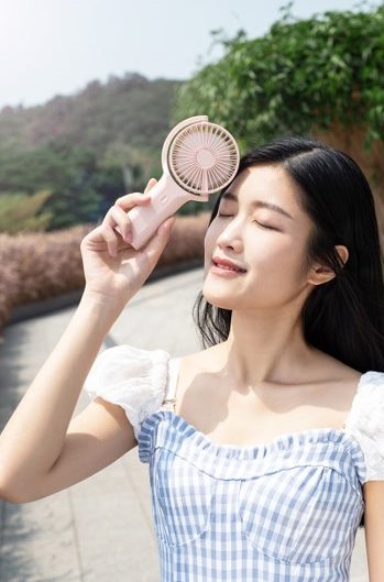 Double Leaf Adjustable Fan 12