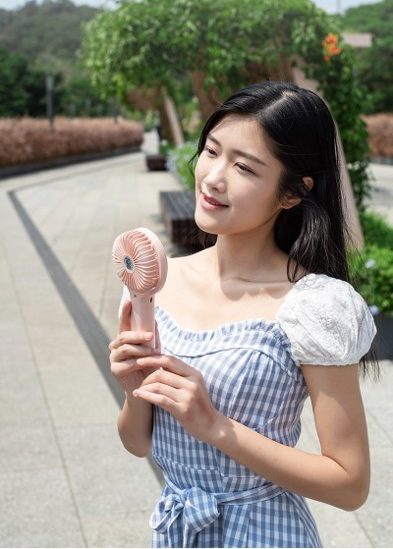 Double Leaf Adjustable Fan 3