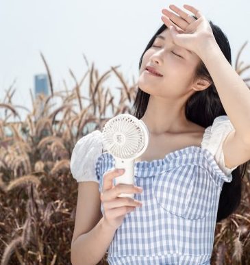 Double Leaf Adjustable Fan 7