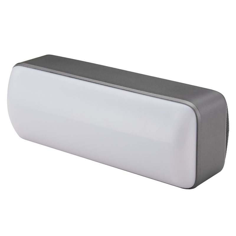 RGB Wireless Radio Speaker 3