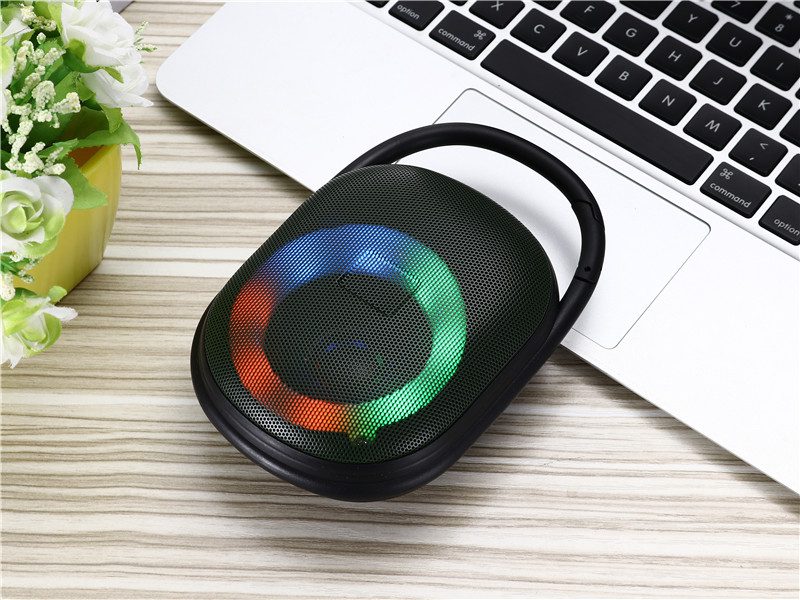 Twin Pairing Clip5 Speaker 17