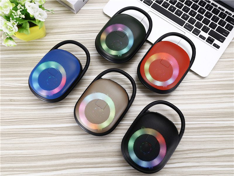 Twin Pairing Clip5 Speaker 2