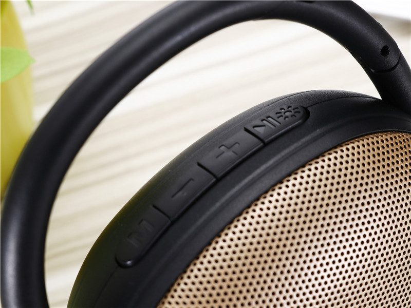 Twin Pairing Clip5 Speaker 20