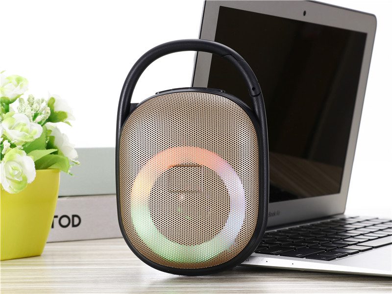 Twin Pairing Clip5 Speaker 8