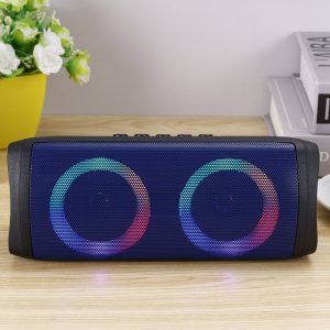 Twin Pairing Wireless Stereo Speaker 6 scaled