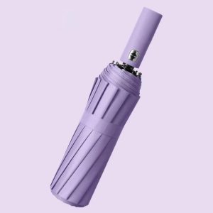 Pantone Auto UV Brolly 1