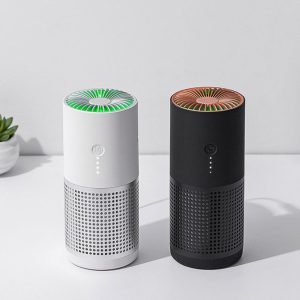 Portable Slot on Air Purifier 15