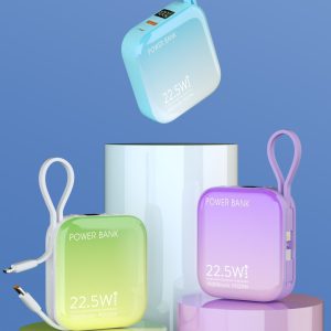 22.5W Dual Cable 10000mah Neon Powerbank 2