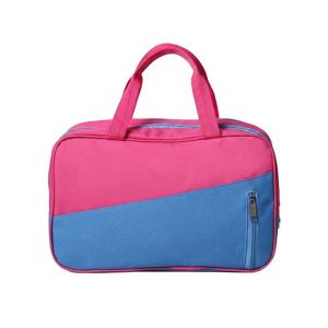 Smarto Hand Carry Bag