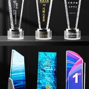 Full Height Top Award Acrylic Plaque 6