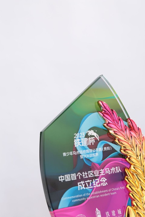 Golden Star Leave Acrylic Tabletop Plaque 2