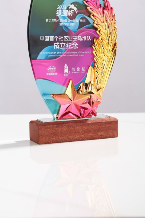 Golden Star Leave Acrylic Tabletop Plaque 3