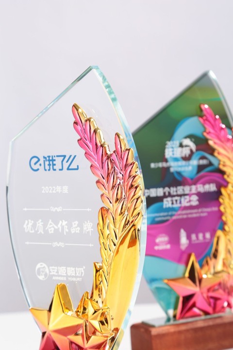 Golden Star Leave Acrylic Tabletop Plaque 4