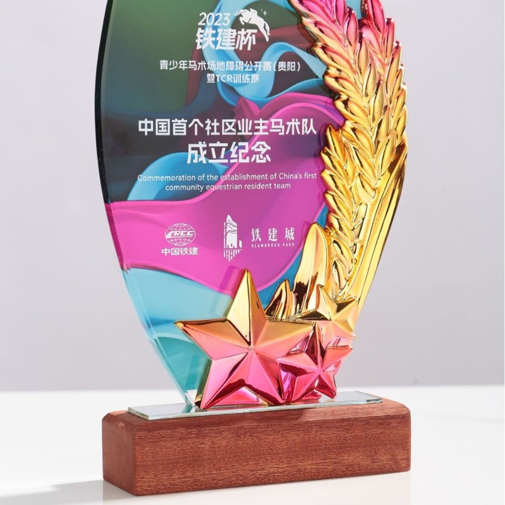 Golden Star Leave Acrylic Tabletop Plaque 6