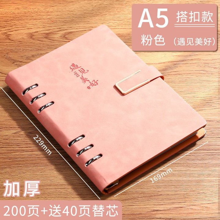 Magneto Ring Binder Leather Notebook 14