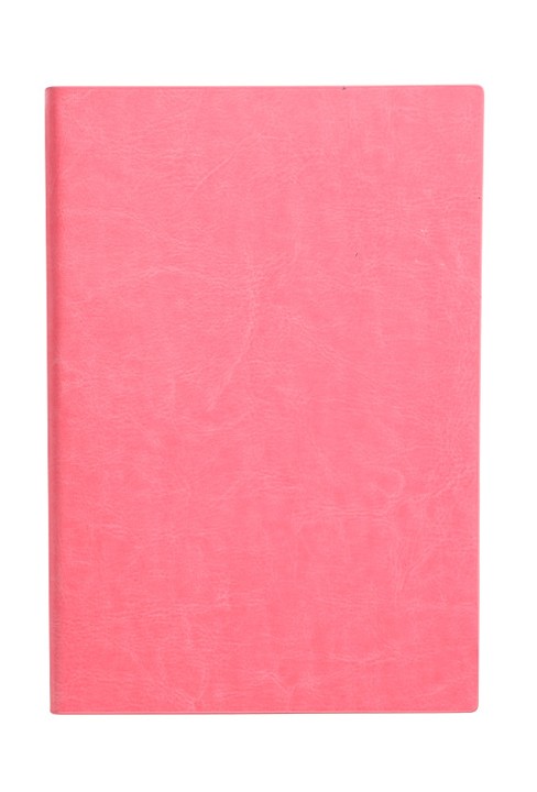 Simple Plain Leather Notebook 10