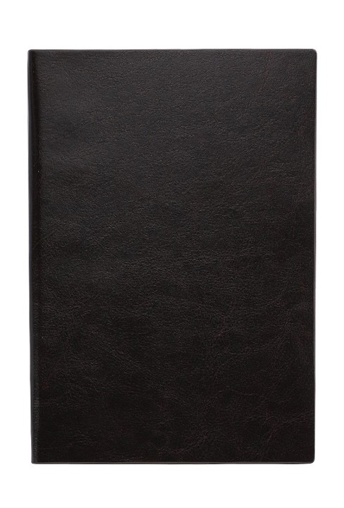 Simple Plain Leather Notebook 2