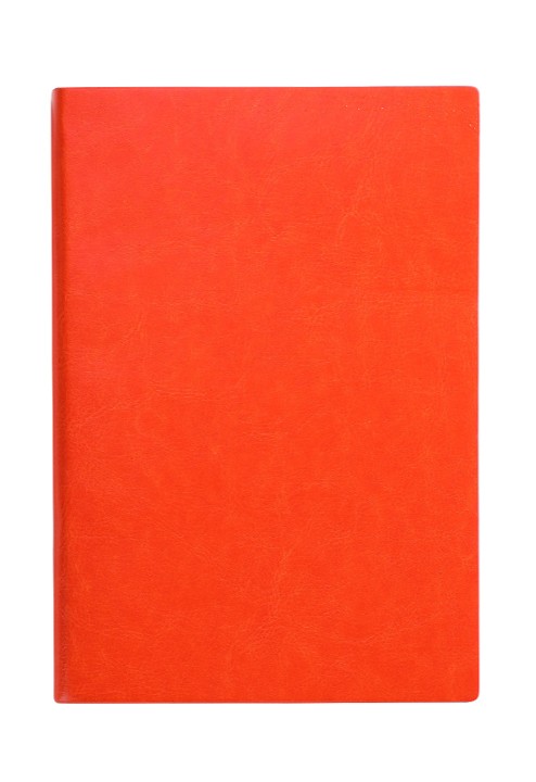 Simple Plain Leather Notebook 7