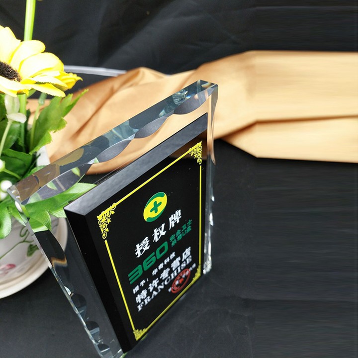 Table Top A4 K9 Crystal Awards 5