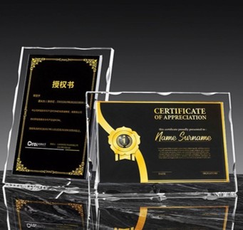 Table Top A4 K9 Crystal Awards 9