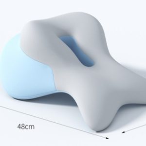 Ergo Rest Pro Pillow