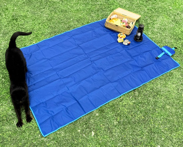 Pocket Weight Foldable Picnic Mat - Image 3