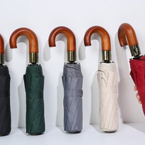 SunWood Auto J Hook Umbrella